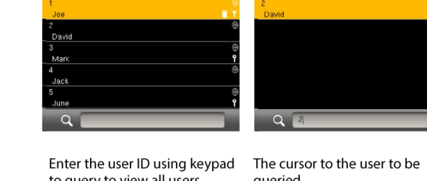 All Users list and search by user ID